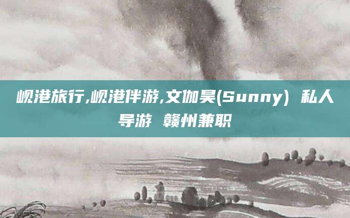 灌南岘港旅行,岘港伴游,文伽昊(Sunny) 私人导游 赣州兼职